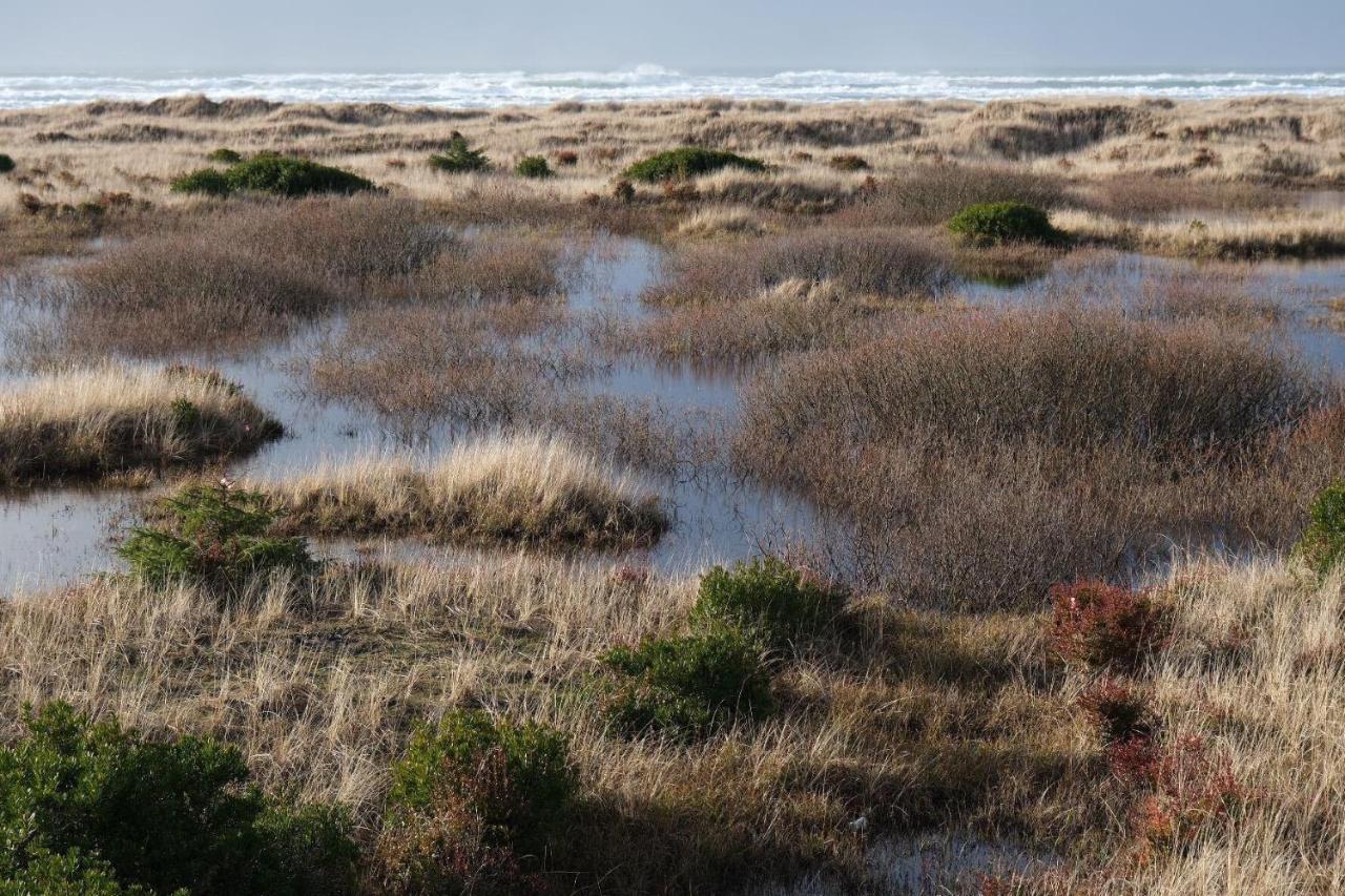 Tidal House 3 Villa Ocean Shores Dış mekan fotoğraf